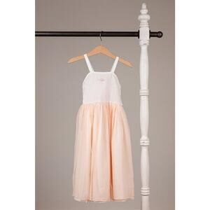 Well Dressed Wolf Dreamy Peach Maxi Size 12 NWT